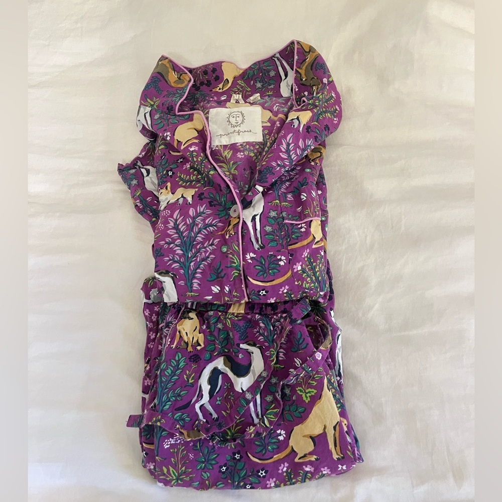 Like-new Print Fresh Pajama Set. Longsleeve and pants.